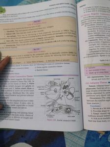 Biology Class 9 Book (CBSE)
