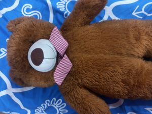 Big Size Teddy Bear