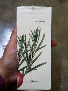 Sacred Grove Hair Growth Oil