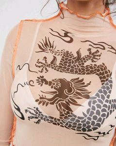 Sheer Dragon Mesh Top