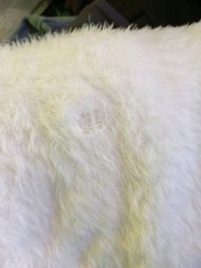 Angora Sweater For Girls