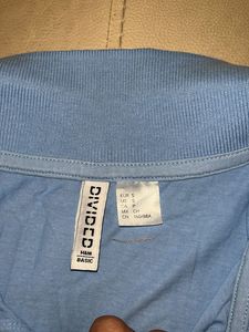 Blue Polo Shirt cropped