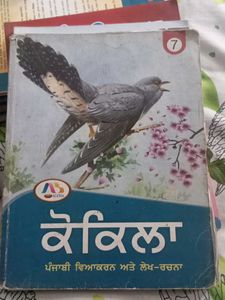 Punjabi Grammar 7