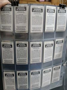 Vintage Collectible Cards