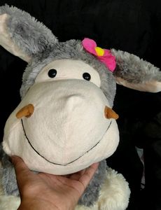 Miss Donkey😄 Big Size