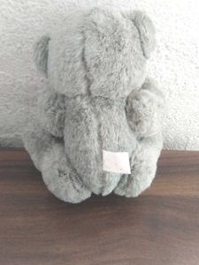 Cute Little Teady Bear