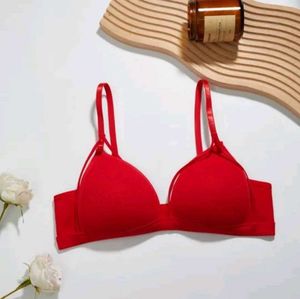 Savana Bra