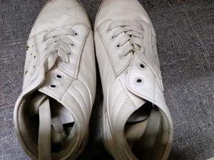 Best Sneakers ......