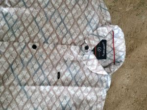 Patterned Button-Down Shirt