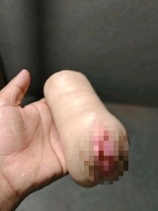 Prosthetic Adult Toy