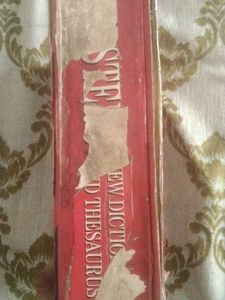 Websters New Dictionary And Thesaurus