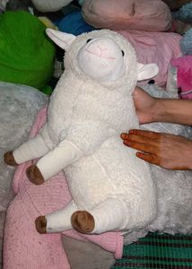 Cute Plush Lamb