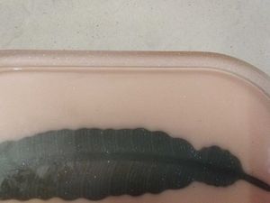 Resin Feather Tray