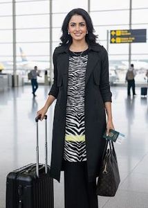 Max Zebra Print Dress