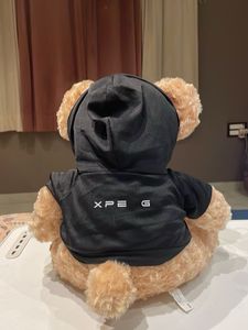 Cute Teddy Bear with Hoodie