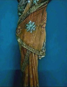 Orange Color Saree
