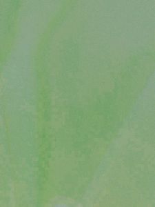 Oxidised Chaand Bali Earrings