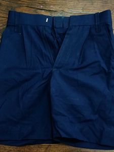 Navy Blue Pleated Shorts