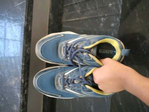 Campus Shooes