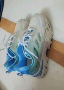 Sports Shoes