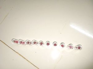 Just Herbs Mini Lipstick