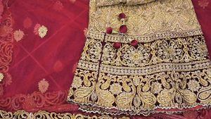 Elegant Ethnic Lehenga Choli Set