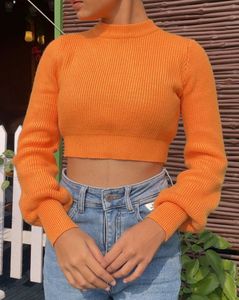 Zara Knit Crop Sweater