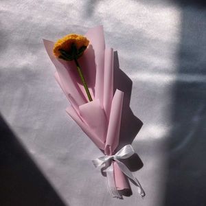 Crochet Roses