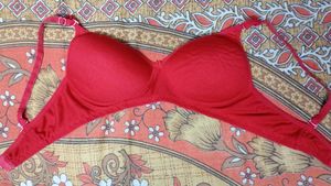 Padded Bra For Women