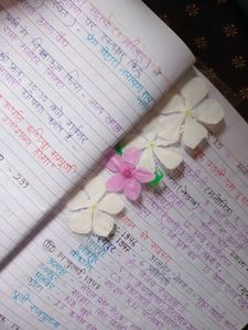 Flower Book Mrak🌺