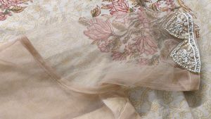 Elegant Embellished Lehenga Choli