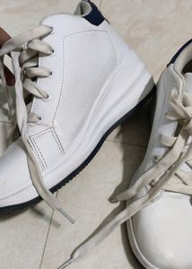 Lee Cooper Women Shoes, Size Is Uk 4