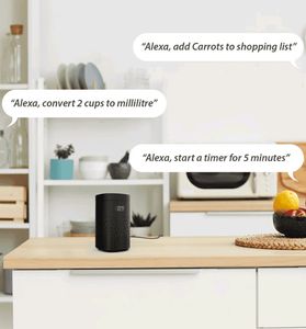 Zeb Smart Bot Alexa