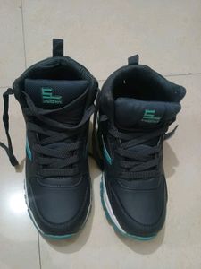 New Shoes Casual