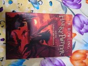 Harry Potter and The Order of Phoenix