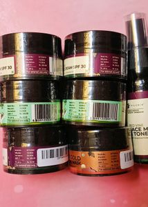 Combo Of 12 Pilgrim Product