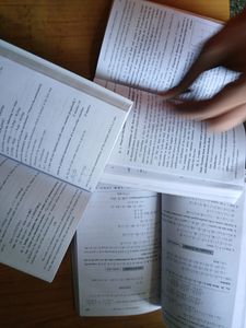 Navneet 21 Books 2024 12th Class Pcm