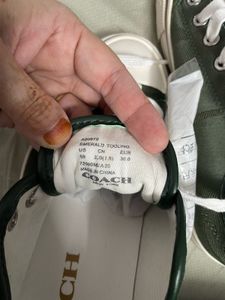 Coach Green Canvas Sneakers