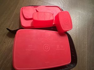Signoraware Lunch Box with Containers