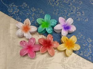 Cute Flower Hair Clips (any one @99)