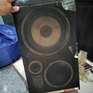 Big Speaker