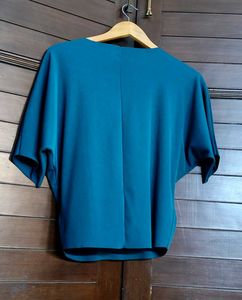 Women Teal blue Cat Bow Embellished Top