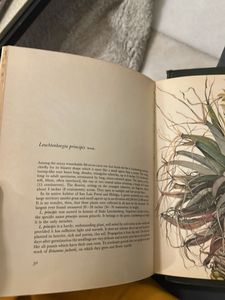 Gardening Books