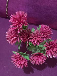 Home decor plant