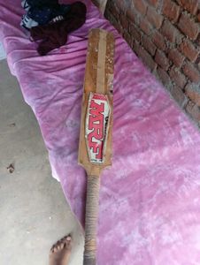 Vintage Cricket Bat