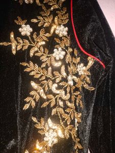 Elegant Embroidered Velvet &amp; Silk Dress