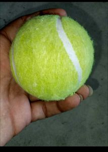 Cricket Tennis Ball Pack Of 3