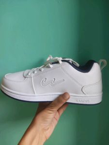 Campus White and navy blue Casual Sneakers for men