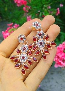 1 Pair Of Beautiful Red Stone Earrings