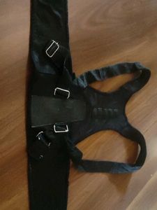 Poisture Correction Belt